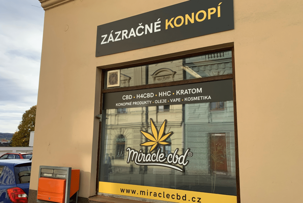 Bannery-blog-2240-×-1500-px-61-1024x686 (1)